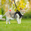 Breathable Cat Harness: Your Kitty's Comfort and Safety