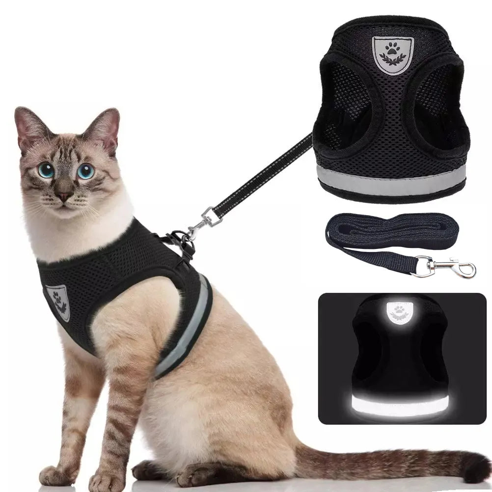 Breathable Cat Harness: Your Kitty's Comfort and Safety