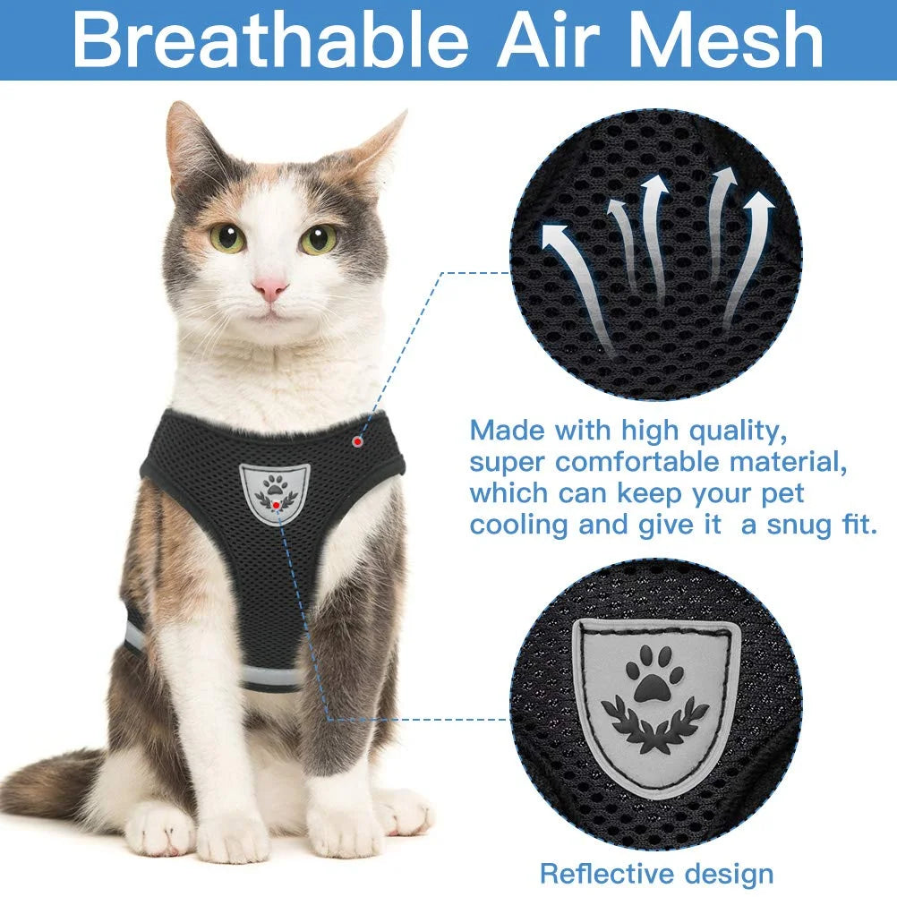 Breathable Cat Harness: Your Kitty's Comfort and Safety