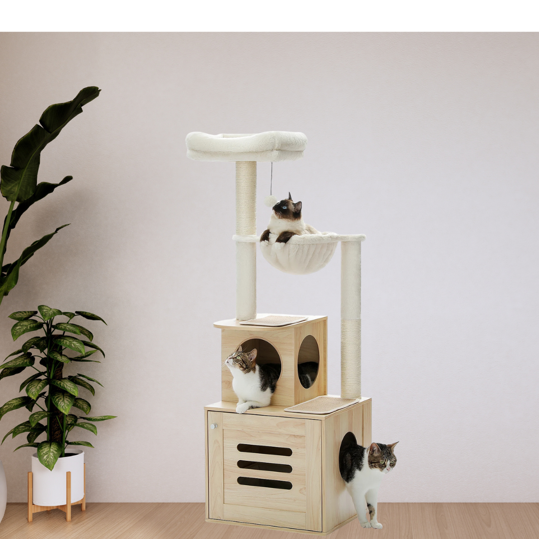 Palm Retreat – Torre Tiragraffi in Legno con Lettiera Integrata & Design Tropicale