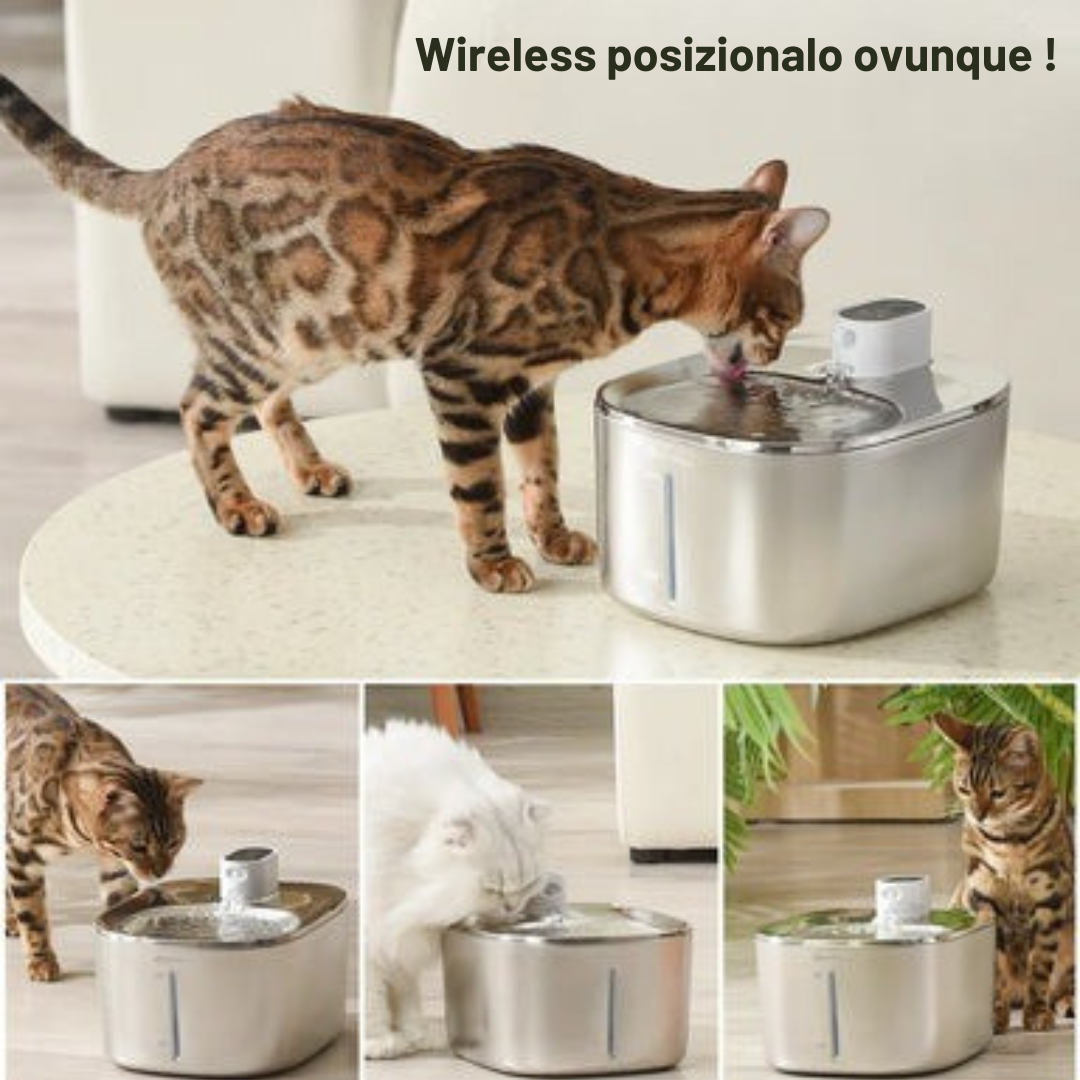 AquaPet