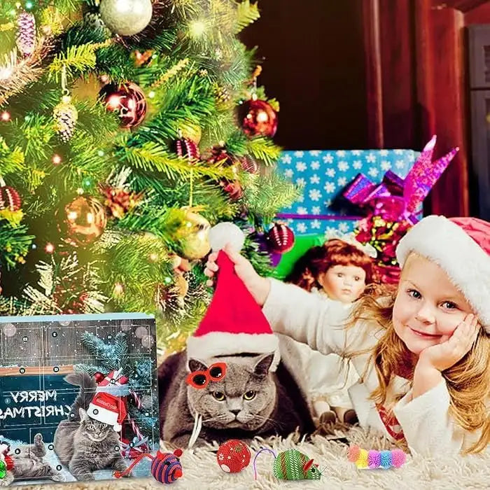 24 Surprises from Kitty - Advent Calendar