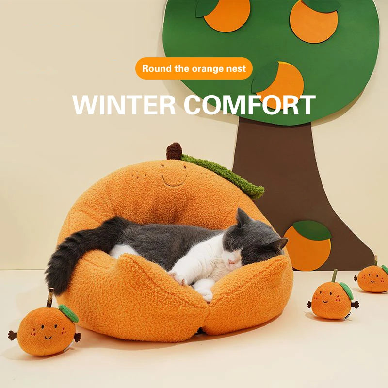 Orange Juice Bed: A purrfect paradise for your feline friend!