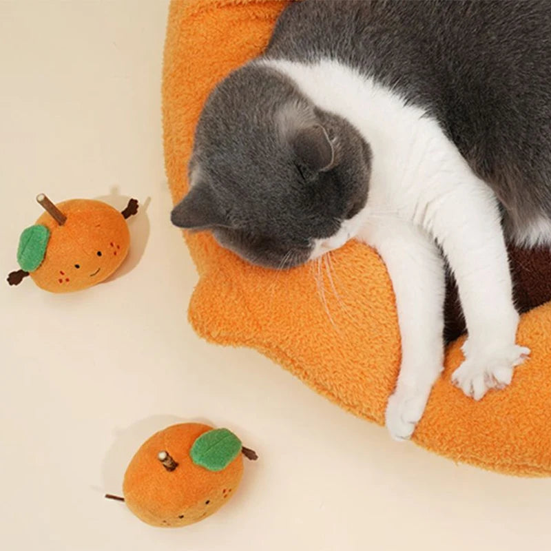 Orange Juice Bed: A purrfect paradise for your feline friend!