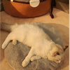 La Marshmallow Bed è la cuccia ideale per il tuo gatto durante l'inverno. Con il suo design unico e accogliente, questa cuccia sembra un soffice marshmallow che avvolge il tuo gatto in un caldo abbraccio. Durante l'inverno, il tuo gatto merita di stare al caldo e al sicuro. La Marshmallow Bed è progettata con un rivestimento termico che trattiene il calore corporeo del tuo gatto, mantenendolo al riparo dal freddo.