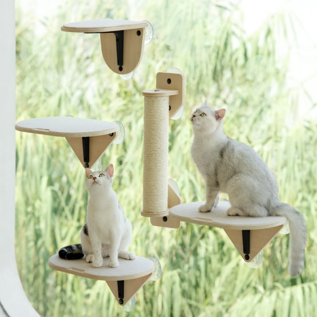 Sei alla ricerca di un luogo perfetto per l'intrattenimento del tuo micio preferito? Non guardare oltre!! Ti presentiamo la nostra incredibile struttura di arrampicata per gatti, il Percorso da Finestra di Miao Cat Store. Progettato pensando alle necessità del tuo gatto, questo pratico mobile è l'aggiunta ideale in qualsiasi casa felina.   