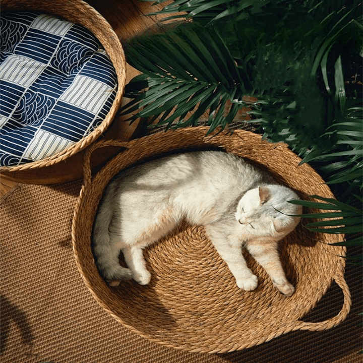 La Cuccia per Gatti in Rattan di Miao Cat Store è realizzata con tappetino in rattan naturale e corda di cotone, traspirante e universale in tutte le stagioni, particolarmente adatto per l'estate. Il cestino per gatti è accuratamente intrecciato con una corda di cotone, ognuna delle quali è tessuta con precisione. Le cucce per gatti in Rattan sono prive di formaldeide, inodore, delicate sulla pelle e prive di agenti cancerogeni. 