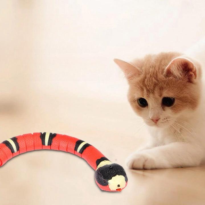 Scopri il gioco serpente interattivo per gatti MIAO CAT, un serpente realistico con texture 3D e colori vividi. Con movimento segmentato, consistenza della pelle fine e lingua flessibile, questo giocattolo a sonagli offre un'esperienza di gioco realistica. Induttivo e con tempo di gioco lungo, è un regalo divertente per bambini e adulti. Ricarica USB e standby automatico.