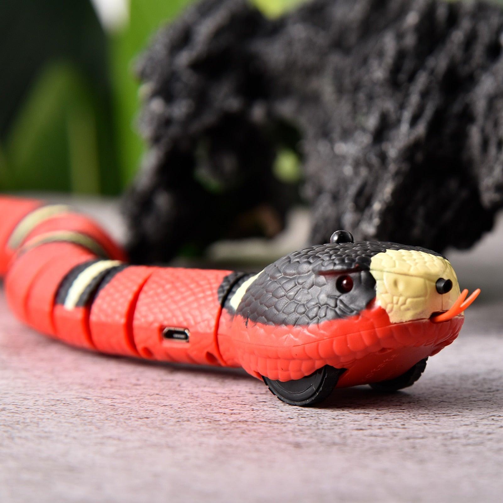 Scopri il gioco serpente interattivo per gatti MIAO CAT, un serpente realistico con texture 3D e colori vividi. Con movimento segmentato, consistenza della pelle fine e lingua flessibile, questo giocattolo a sonagli offre un'esperienza di gioco realistica. Induttivo e con tempo di gioco lungo, è un regalo divertente per bambini e adulti. Ricarica USB e standby automatico.