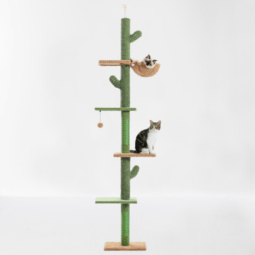 Il Tiragraffi Cactus regolabile di Miao Cat Store ha un'altezza che varia da 239cm a 275cm  permettendo quindi di adattarlo all'altezza della stanza. Può essere posizionato ovunque ed è facile da spostare. Il Tiragraffi Cactus di Miao Cat Store ha cinque livelli, cinque piattaforme di salto, un'amaca capiente, due tiragraffi in corda ricoperti di sisal, una palla penzolante. 