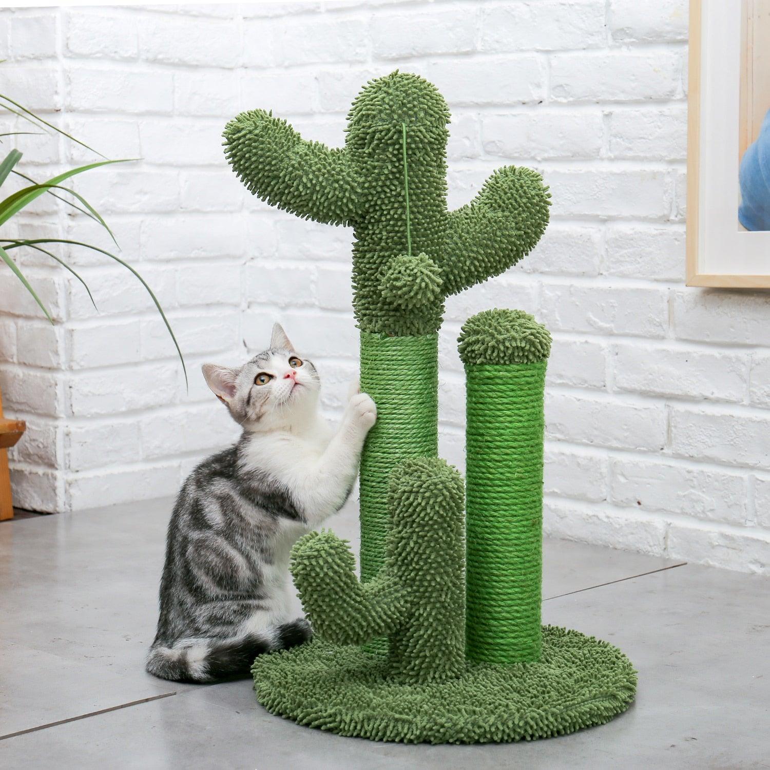  Grazie al design del Tiragraffi cactus di  Miao Cat Store  vivace, la sua forma e il colore  incuteranno indubbiamente curiosità nel tuo amato peloso che avrà senza ombra di dubbio un perfetto compagno di giochi.