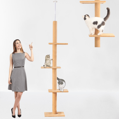 Il tiragraffi regolabile 228-274 di miao cat store ha la possibilità di personalizzare l'altezza in base al soffitto. Il nostro tiragraffi fornisce ore di gioco fisico e stimolazione mentale al tuo gatto. Il design che va dal pavimento al soffitto crea un'emozionante struttura di arrampicata verticale per il tuo amico peloso oltre a risparmiare prezioso spazio sul pavimento di casa. 